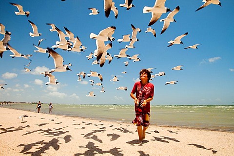 ROCKPORT, TEXAS, USA. A young boy tosses bread into the air for a flock of seagulls on a beach.