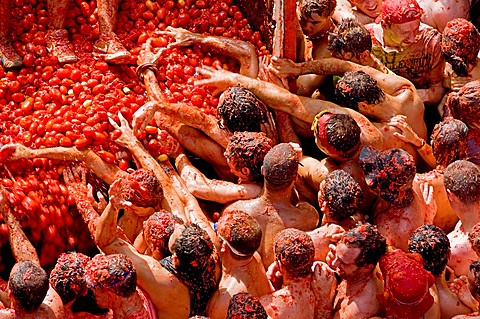 Spain, Valencia Region, Bunol City, Tomatina Festival (Tomato festival)